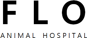 플로(FLO)동물병원