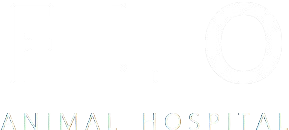 플로(FLO)동물병원